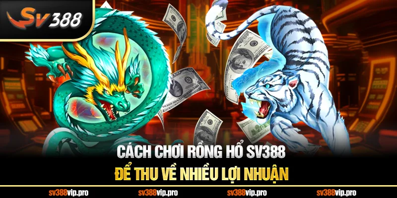 Cách chơi rồng hổ SV388 để thu về nhiều lợi nhuận
