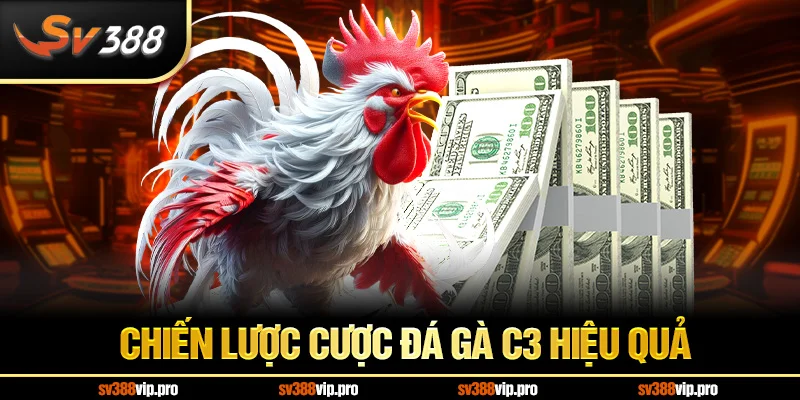 Chiến lược cược đá gà C3 hiệu quả