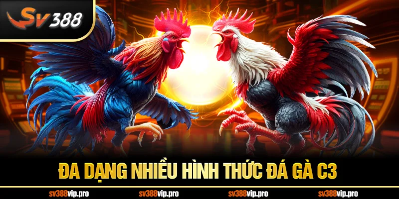 Đa dạng nhiều hình thức đá gà C3