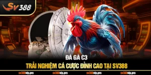 Đá Gà C3 – Trải Nghiệm Cá Cược Đỉnh Cao Tại SV388
