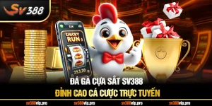 Đá Gà Cựa Sắt SV388 – Đỉnh Cao Cá Cược Trực Tuyến