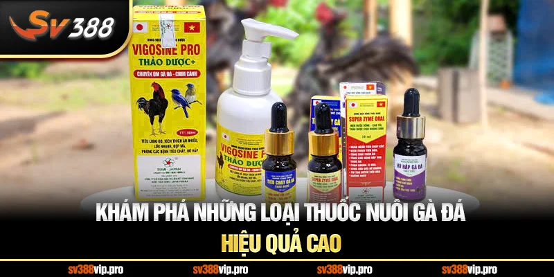 Khám Phá Những Loại Thuốc Nuôi Gà Đá Hiệu Quả Cao