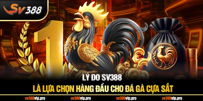 Lý do SV388 là lựa chọn hàng đầu cho đá gà cựa sắt