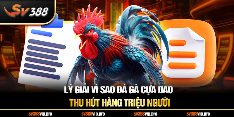 Lý giải vì sao đá gà cựa dao thu hút hàng triệu người