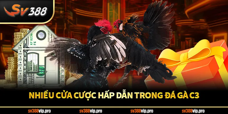Nhiều Cửa Cược Hấp Dẫn Trong Đá Gà C3