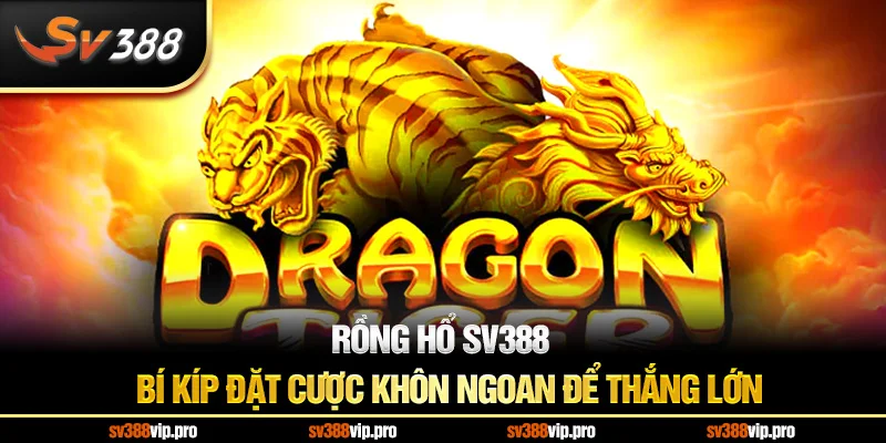 Rồng Hổ SV388 – Bí Kíp Đặt Cược Khôn Ngoan Để Thắng Lớn
