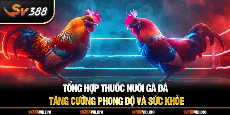 Tổng Hợp Thuốc Nuôi Gà Đá Tăng Cường Phong Độ Và Sức Khỏe
